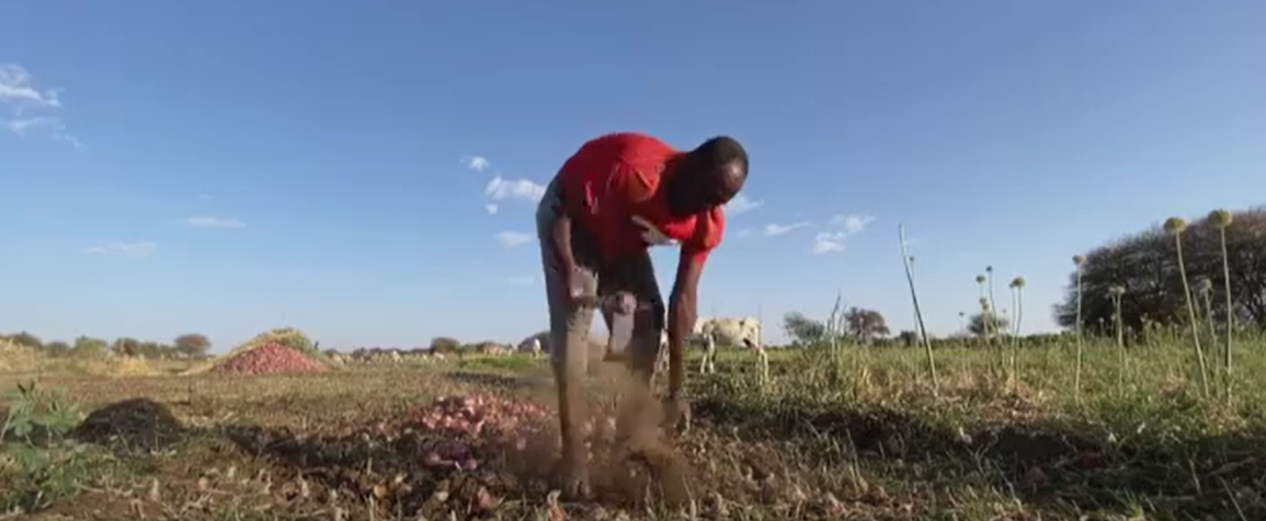 Soudan : agriculteurs et commerçants confrontés à l’inflation galopante