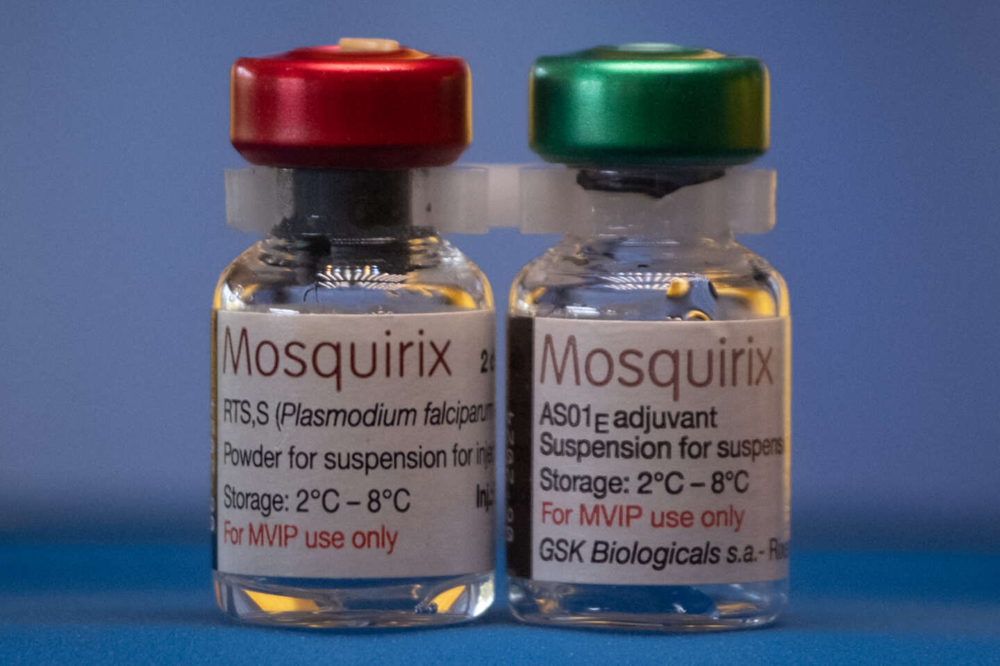 Paludisme : le Cameroun reçoit la première livraison du vaccin Mosquirix